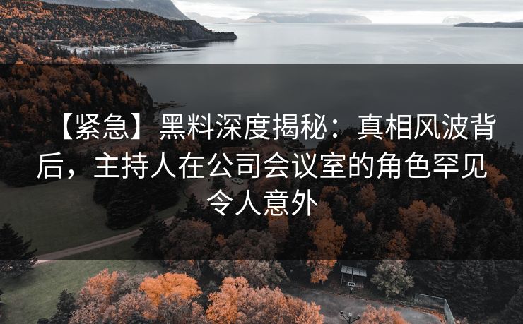 【紧急】黑料深度揭秘：真相风波背后，主持人在公司会议室的角色罕见令人意外