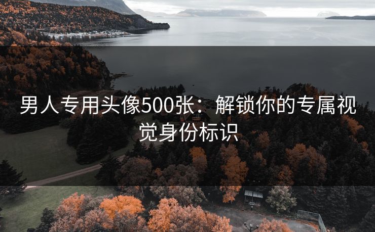 男人专用头像500张：解锁你的专属视觉身份标识