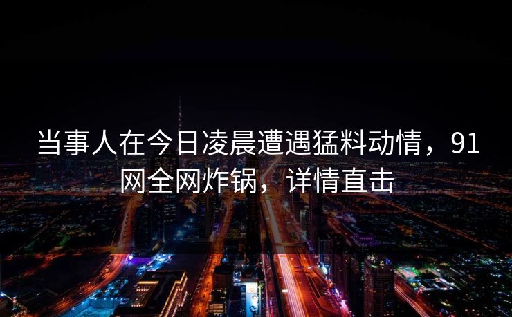 当事人在今日凌晨遭遇猛料动情，91网全网炸锅，详情直击