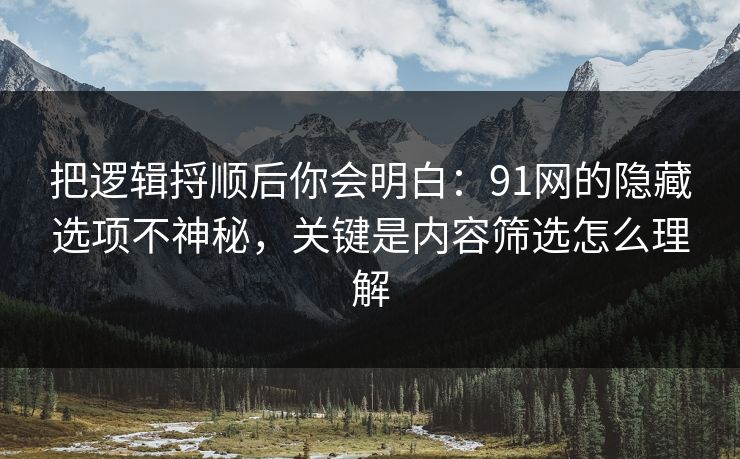 把逻辑捋顺后你会明白：91网的隐藏选项不神秘，关键是内容筛选怎么理解